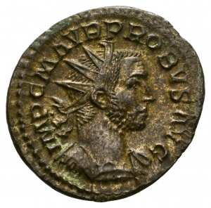 Probus