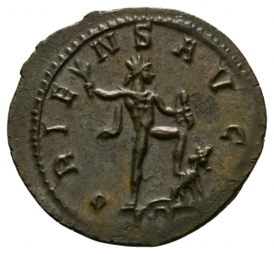 Probus