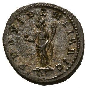 Probus
