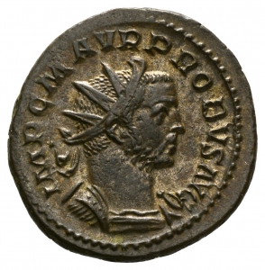 Probus