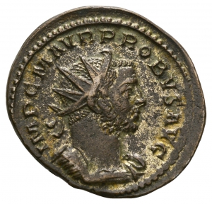 Probus