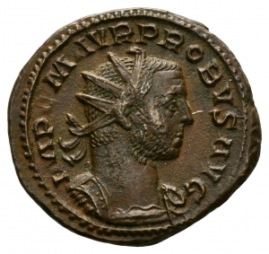 Probus