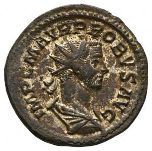 Probus